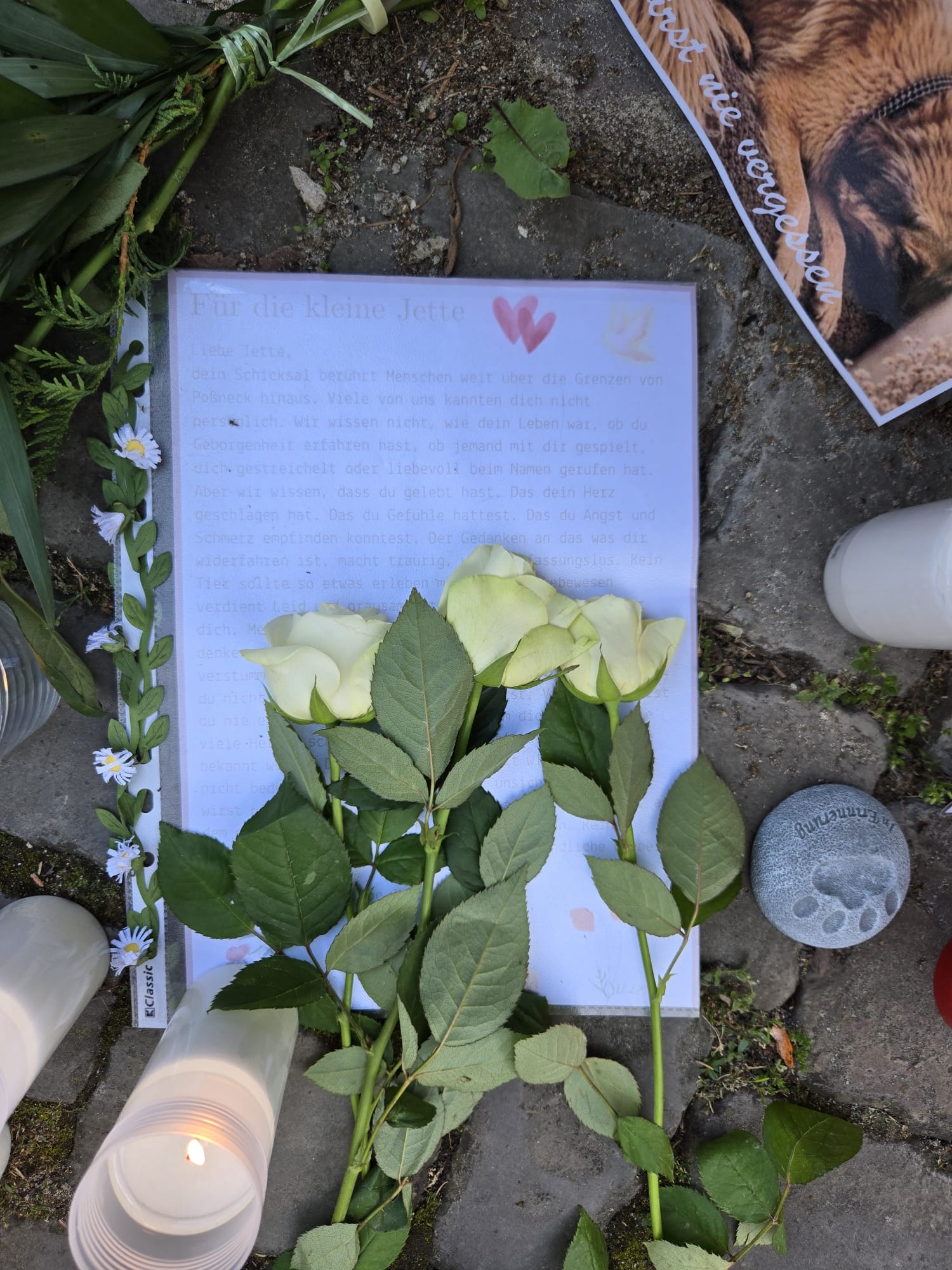 Brief und Rosen für Jette