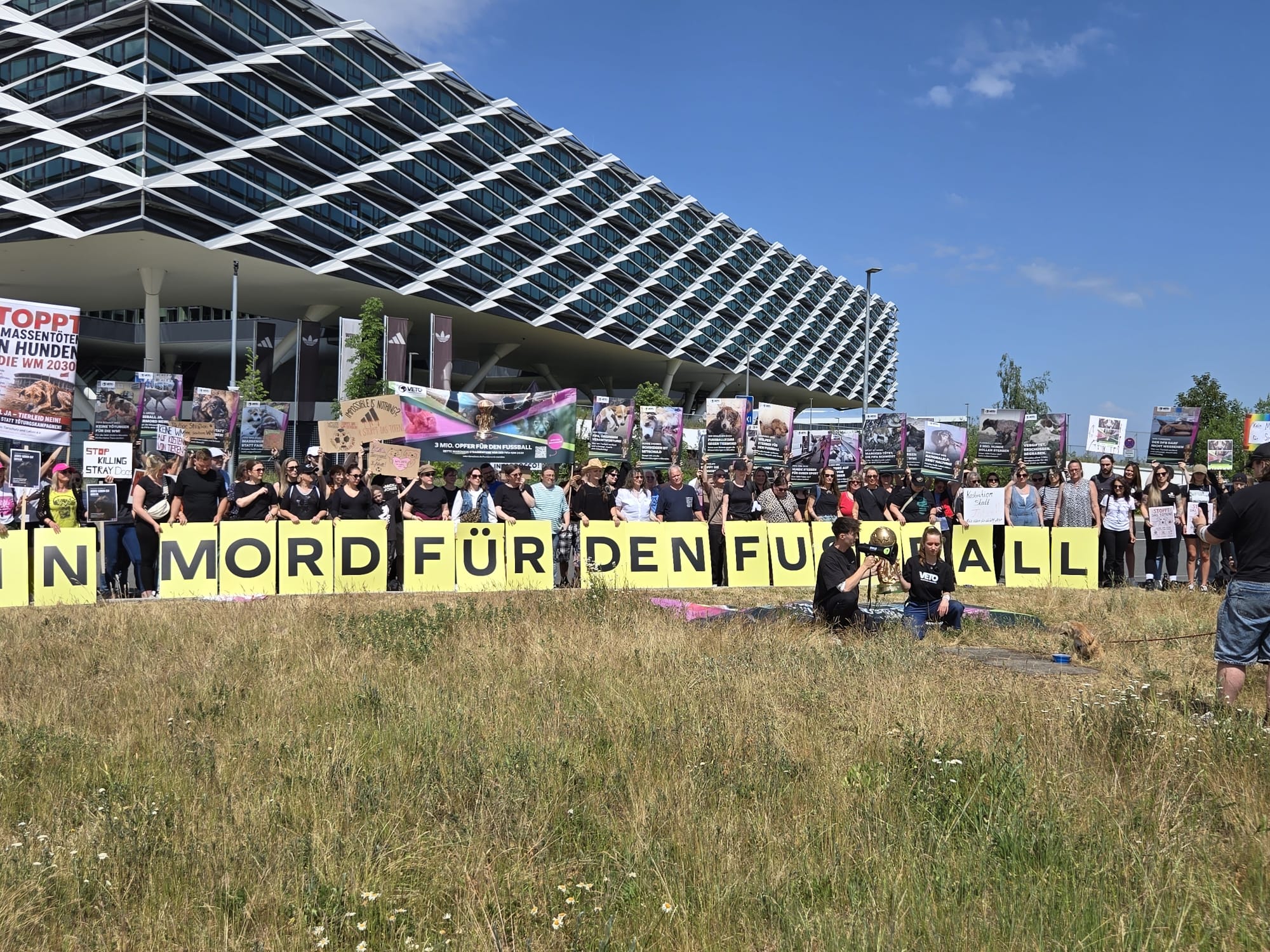 Demonstration gegen Hundetötungen vor der WM in Marokko